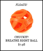Chuckit! Breathe Right Ball