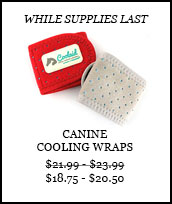 Canine Cooling Wraps