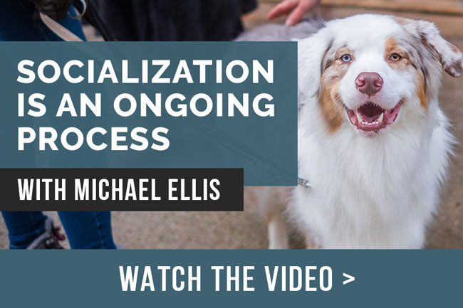 Video: Socialization is an Ongoing Process: with Michael Ellis