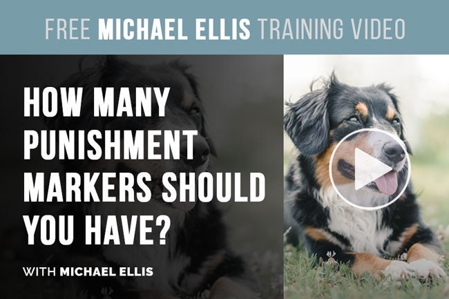Video: Michael Ellis on How Many Punishment Markers You Should Have