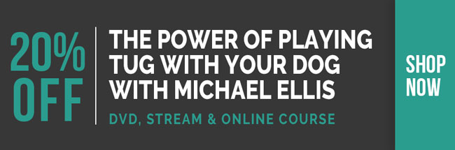 20% off Michael Ellis select DVDs, streams and self-study online course sales! Valid through Thursday, August 13th, 11:59PM CDT.