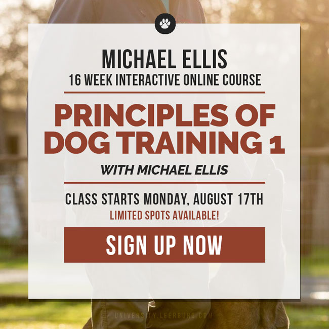 Sign up for the Principles of Dog Training 1 with Michael Ellis. Class starts Monday, August 17th.