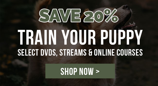 20% off Puppy Training - Save on select DVDs, streams and self-study online course sales! Valid through Thursday, August 20th, 11:59PM CDT.