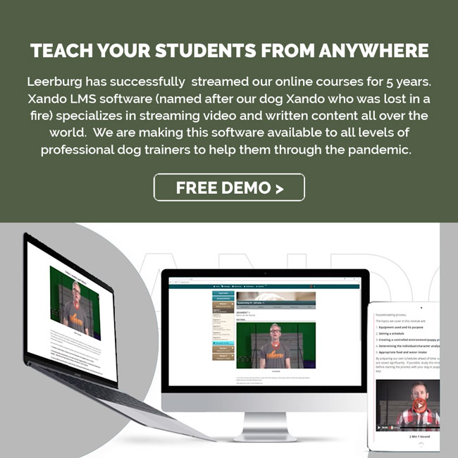 Learn about the features of Xando LMS and how it could benefit you!