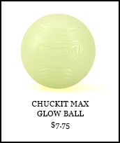 ChuckIt Max Glow Ball