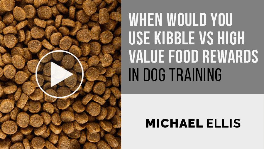 Video: When Would You Use Kibble VS High Value Food Rewards in Dog Training - with Michael Ellis
