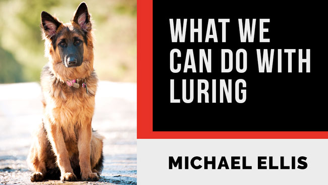 Video: Michael Ellis on What We Can Do With Luring in Dog Training