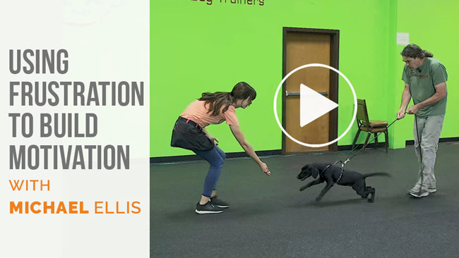 Video: Michael Ellis on Using Frustration to Build Motivation