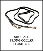 PRONG COLLAR LEASHES