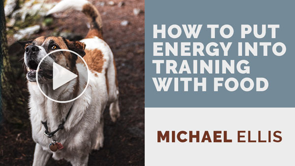 Video: Michael Ellis on How to Put Energy into Training with Food