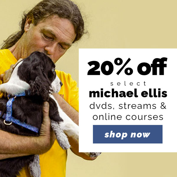 20% off select Michael Ellis DVDs, streams and online courses. Valid through Thursday, October 8, 11:59 PM CDT. No coupon needed. Discount applied in cart.