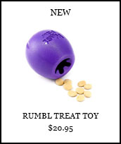 Rumbl Treat Toy