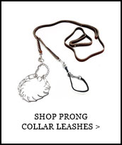 Shop Prong Collar Leashes