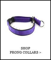 Shop Prong Collars