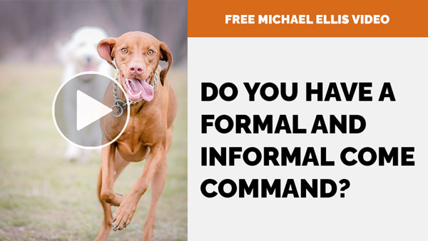 Video: Do You Have a Formal and informal COME Command? with Michael Ellis