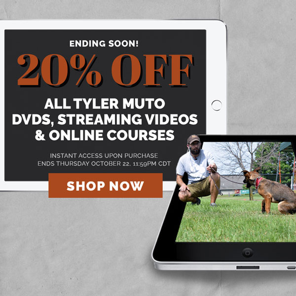 20% off ALL Tyler Muto DVDs, streams and online courses. Valid through Thursday, October 22, 11:59PM CDT.