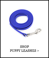 Shop Puppy Leashes