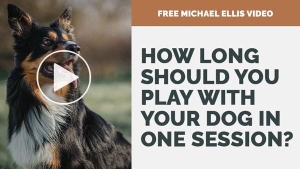 Video: How Long Should You Play with Your Dog in One Session? with Michael Ellis