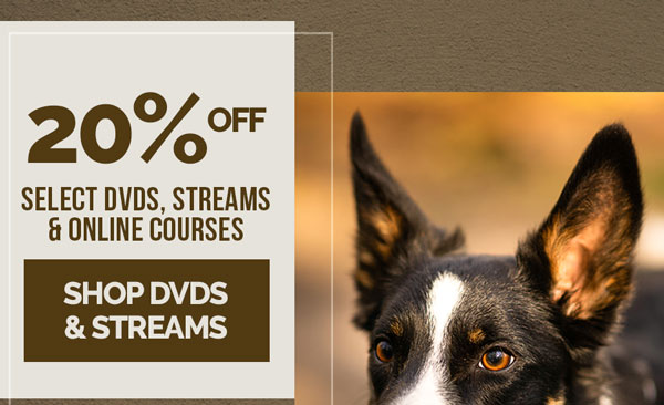 20% off select DVDs, streams and online courses. Valid through Thursday, October 29, 11:59PM CDT.