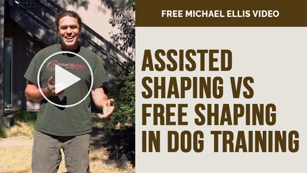 Video: Assisted Shaping VS Free Shaping in Dog Training - with Michael Ellis