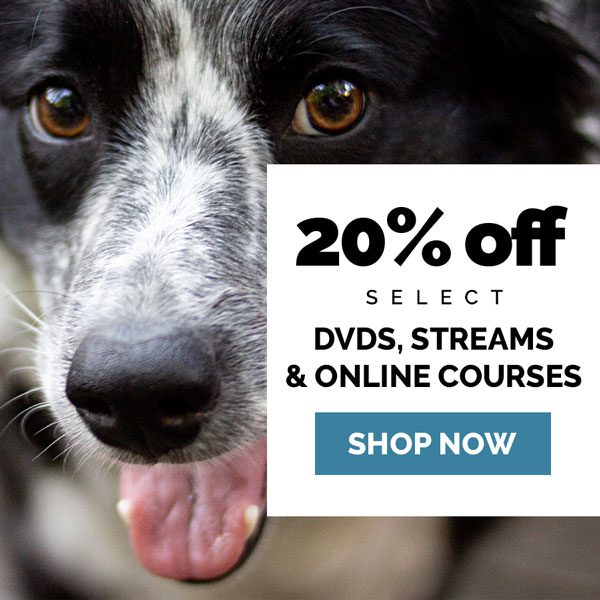 20% off select DVDs, streams and online courses. Valid through Thursday, November 5, 11:59 PM CDT. No coupon needed. Discount applied in cart.