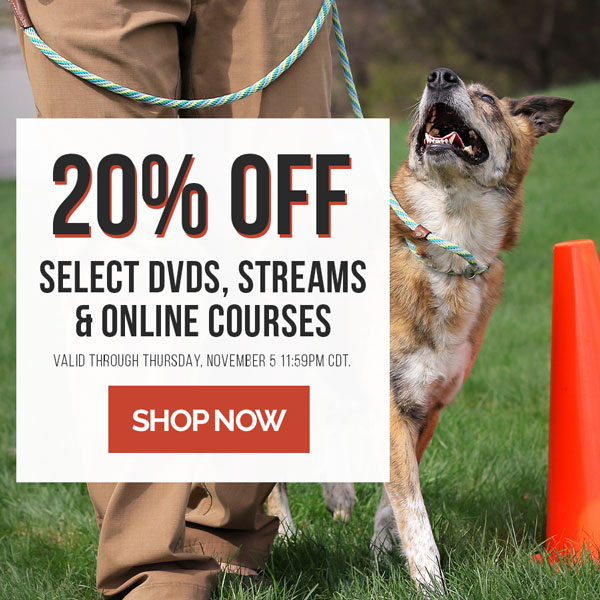20% off select DVDs, streams and online courses. Valid through Thursday, November 05, 11:59PM CDT.