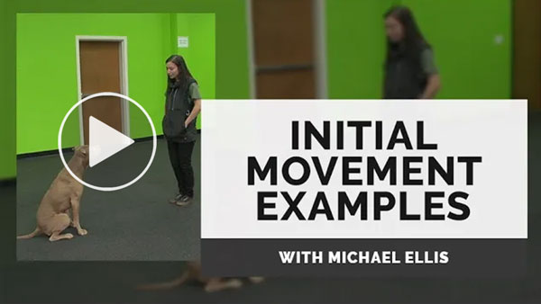 Video: Initial Movements Examples with Michael Ellis
