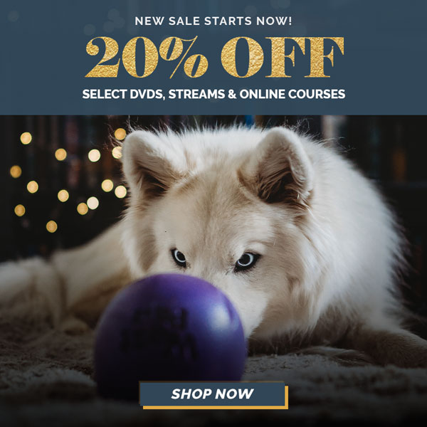 20% off select DVDs, streams and online courses. Valid through Thursday, November 19, 11:59 PM CDT. No coupon needed. Discount applied in cart.