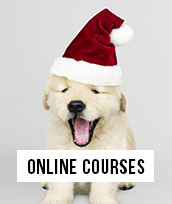 Shop Online Courses