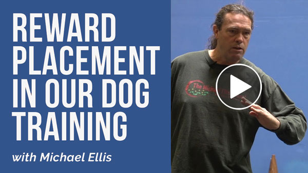Video: Reward Placement In Our Dog Training with Michael Ellis