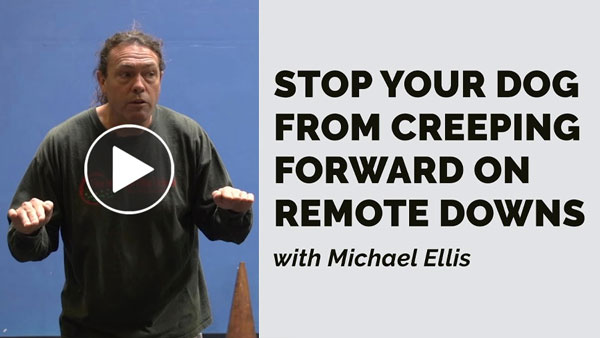Video: Stop Your Dog From Creeping Forward on Remote Downs with Michael Ellis