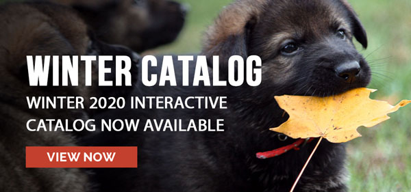 Winter 2020 Catalog is Now Available.