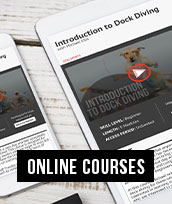 Shop Online Courses
