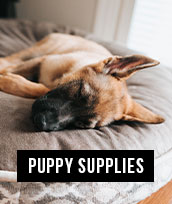 Shop Puppy Supplies