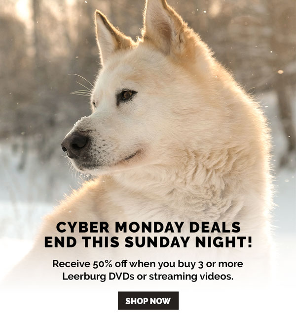 Cyber Monday Deals! Get 50% off 3 or more Leerburg DVDs or streams. Valid through Sunday, December 6, 11:59PM CT.