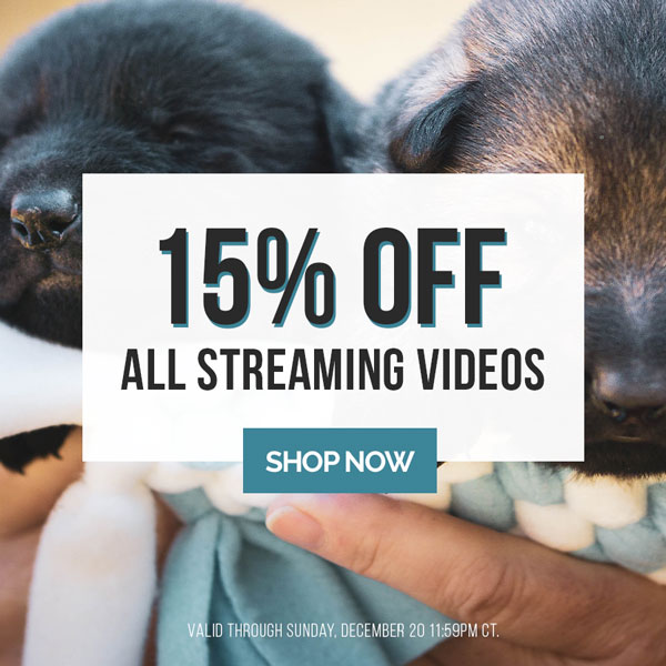 15% off streaming videos. DVDs and online courses not included. Discount applied in cart. Valid through Sunday, December 20, 11:59 PM CT.