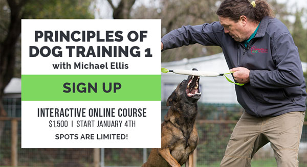 Principles of Dog Training 1 with Michael Ellis - Interactive class starts January 4th.