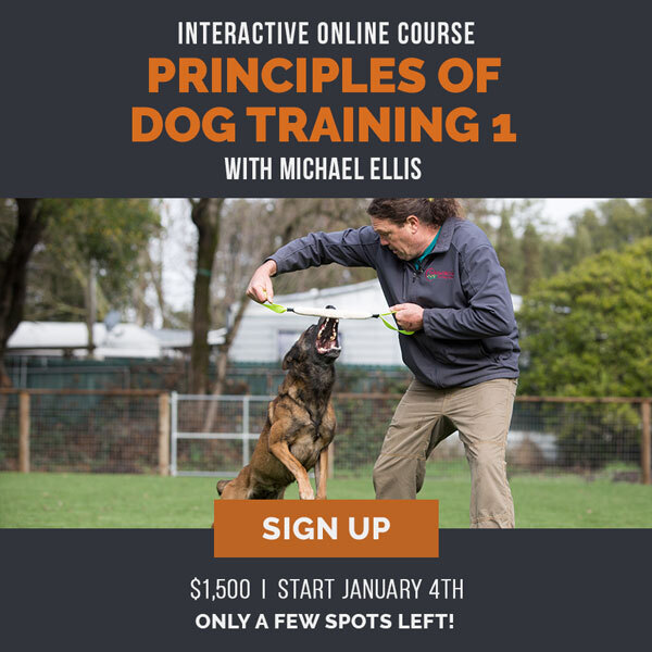 Principles of Dog Training 1 with Michael Ellis - Interactive class starts January 4th.