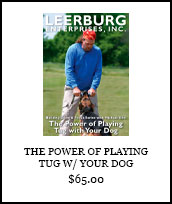 The Power of Playing Tug DVD