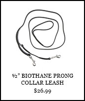 ½” BioThane Prong Collar Leash 