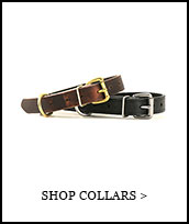 Shop Collars