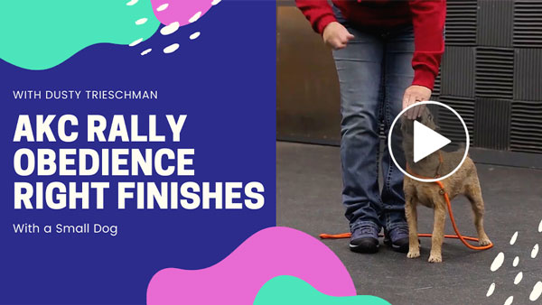 Video: AKC Rally Obedience Right Finishes with Dusty Trieschman