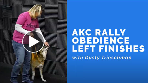 Video: Teaching Your Dog Rally Fronts with Dusty Trieschman