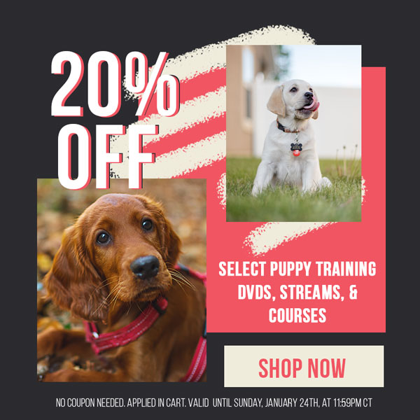 20% off Select Puppy Training DVDs & Streams