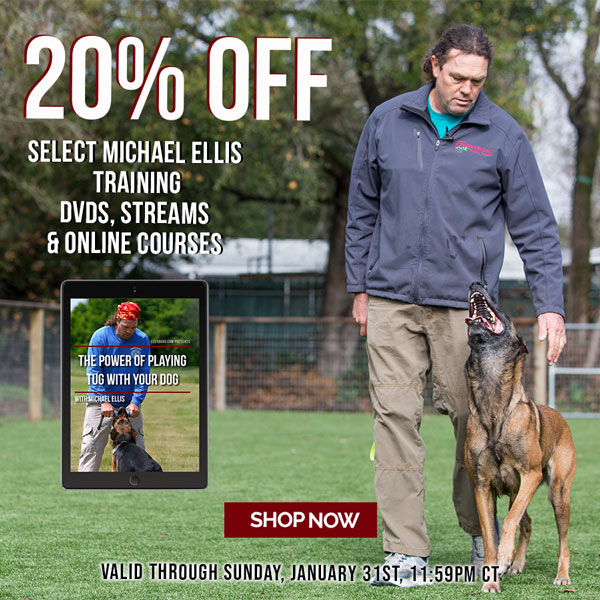 20% off Select Michael Ellis Training DVDs & Streams