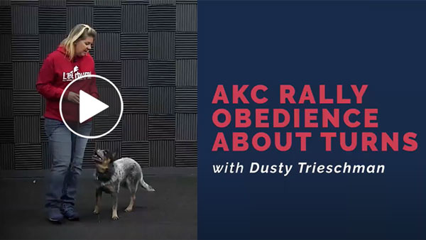 Video: AKC Rally Obedience About Turns with Dusty Trieschman