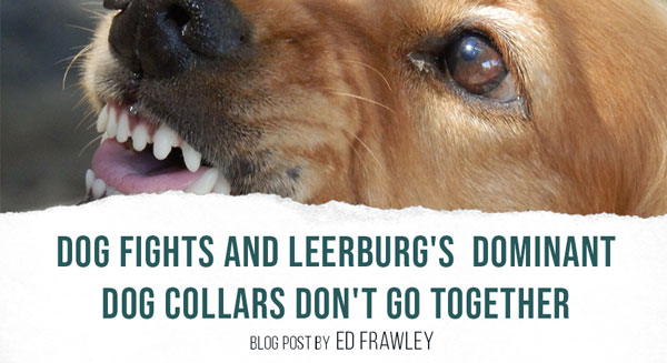 Dog Fights and Leerburg's Dominant Dog Collars Don't Go Together