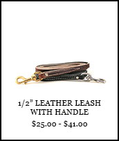 1/2in Leather Leash with Handle