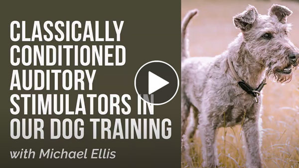 Classically Conditioned Auditory Stimulators in Our Dog Training with Michael Ellis