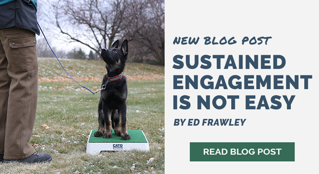 New Blog Post: Sustained Engagement Is Not Easy